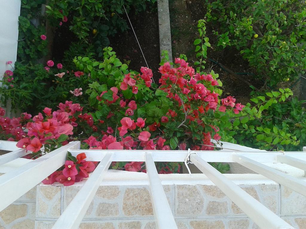 Apartments And Rooms Jasna Hvar Town Exterior photo
